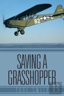 Saving A Grasshopper