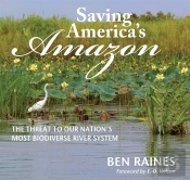 Saving America'S Amazon