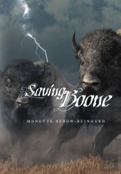 Saving Boone