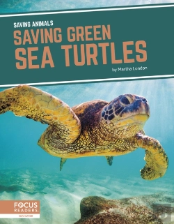 Bertrand.pt - Saving Green Sea Turtles