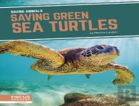 Saving Green Sea Turtles