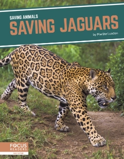 Bertrand.pt - Saving Jaguars