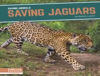 Saving Jaguars