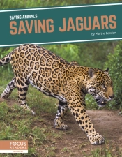 Saving Jaguars