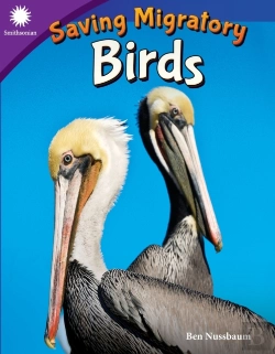 Bertrand.pt - Saving Migratory Birds