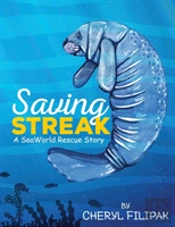 Saving Streak
