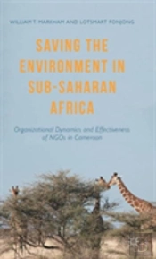 Saving The Environment In Sub-Saharan Africa