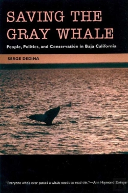 Bertrand.pt - Saving The Gray Whale