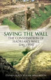 Saving The Wall
