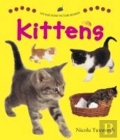 Say And Point Picture Boards: Kittens