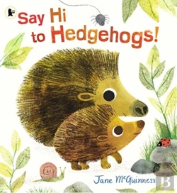 Bertrand.pt - Say Hi To Hedgehogs!