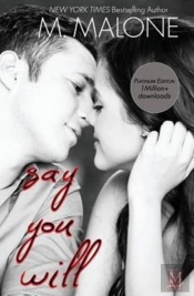 Say You Will