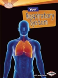 Bertrand.pt - Sb How Does Your Body Work Respi