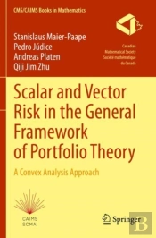 Scalar And Vector Risk In The General Framework Of Portfolio Theory