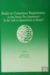 Scale In Conscious Experience