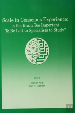 Bertrand.pt - Scale In Conscious Experience