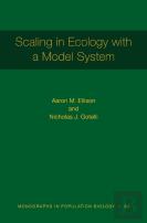 Scaling In Ecology With A Model System