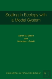 Scaling In Ecology With A Model System