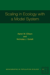 Scaling In Ecology With A Model System