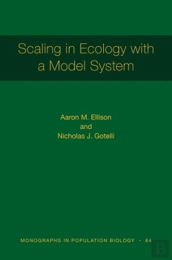 Bertrand.pt - Scaling In Ecology With A Model System