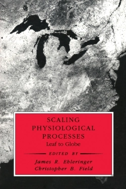 Bertrand.pt - Scaling Physiological Processes