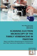 Scanning Electron Microscopy Of The Family Verbenaceae In Pakistan