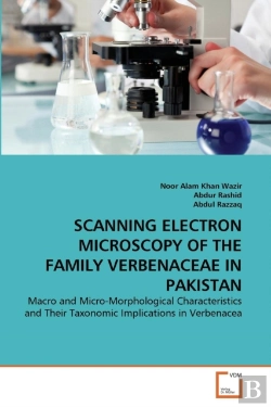 Bertrand.pt - Scanning Electron Microscopy Of The Family Verbenaceae In Pakistan