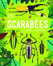 Scarabées Et Autres Coléoptères