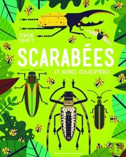 Bertrand.pt - Scarabées Et Autres Coléoptères
