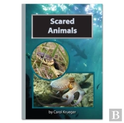 Bertrand.pt - Scared Animals