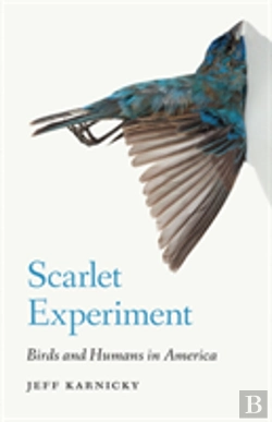 Bertrand.pt - Scarlet Experiment