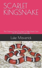 Scarlet Kingsnake