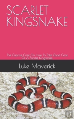 Bertrand.pt - Scarlet Kingsnake