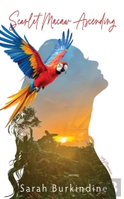 Scarlet Macaw Ascending