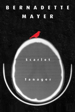 Bertrand.pt - Scarlett Tanager