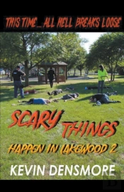 Scary Things Happen In Lakewood 2