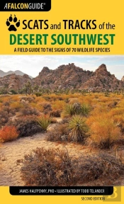 Scats And Tracks Of The Desert Southwest