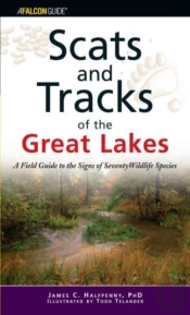 Scats And Tracks Of The Great Lakes