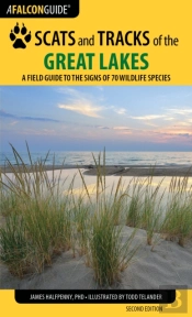 Scats And Tracks Of The Great Lakes