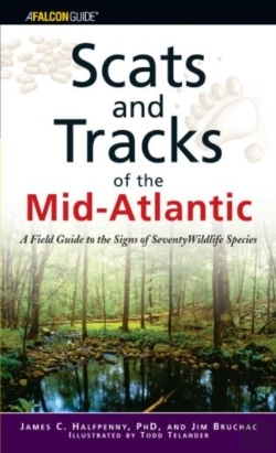 Bertrand.pt - Scats And Tracks Of The Mid-Atlantic