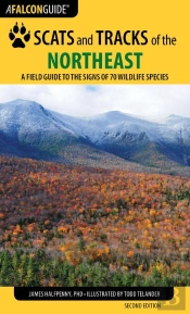 Scats And Tracks Of The Northeast