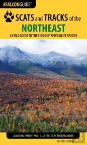 Scats And Tracks Of The Northeast