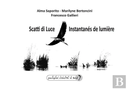 Bertrand.pt - Scatti Di Luce - Instantanés De Lumière