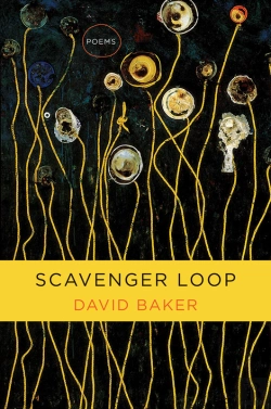 Bertrand.pt - Scavenger Loop