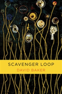 Bertrand.pt - Scavenger Loop