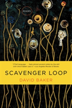 Bertrand.pt - Scavenger Loop