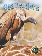 Scavengers