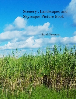 Bertrand.pt - Scenery, Landscapes, And Skyscapes Picture Book