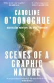 Scenes Of A Graphic Nature