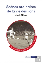 Scènes Ordinaires De La Vie Des Lions